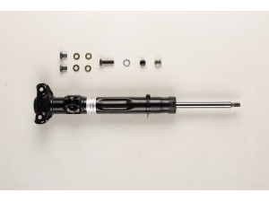 BILSTEIN 22-001924 amortizatorius
124 320 29 30