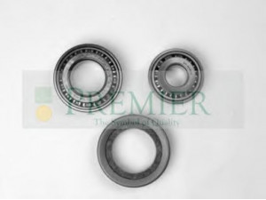 BRT Bearings BRT298 rato guolio komplektas 
 Ašies montavimas/vairavimo mechanizmas/ratai -> Rato stebulė/montavimas -> Rato guolis