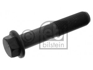 FEBI BILSTEIN 46335 smagračio varžtas
21344746