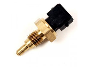 DELPHI TS10010 siuntimo blokas, įsiurbiamo oro temperatūra
4300 251