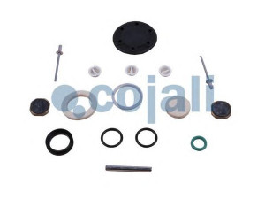 COJALI 6012234 remonto komplektas