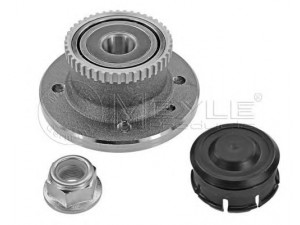 MEYLE 16-14 750 0013 rato stebulė 
 Ašies montavimas/vairavimo mechanizmas/ratai -> Rato stebulė/montavimas -> Rato guolis
7701204866, 7701204867, 7701205477