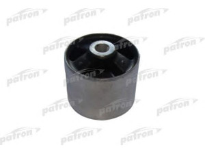 PATRON PSE1612 valdymo svirties/išilginių svirčių įvorė 
 Ašies montavimas/vairavimo mechanizmas/ratai -> Valdymo svirtis/pasukamosios svirties sujungimas -> Montavimas/sutvirtinimas
RGX 500201