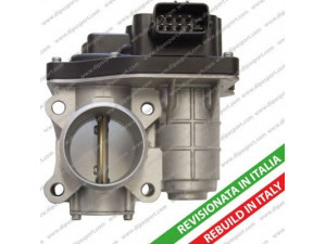 DIPASPORT FLAI168R droselio korpusas