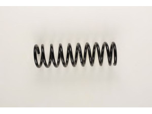 BILSTEIN 36-129270 spyruoklė 
 Pakaba -> Spyruoklės
33 53 1 125 316, 33 53 1 125 317
