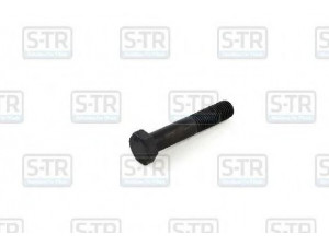 S-TR STR-4M20X105 lingės varžtas