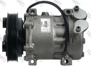 TEAMEC 8600107 kompresorius, oro kondicionierius 
 Oro kondicionavimas -> Kompresorius/dalys
7700857907