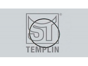 ST-TEMPLIN 06.070.0925.000 atraminis žiedas, pasukamasis kakliukas
06.56341.0223