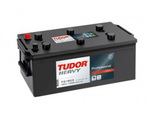 TUDOR TG1803 starterio akumuliatorius; starterio akumuliatorius 
 Elektros įranga -> Akumuliatorius
5001018696, 2994175, 2994401, 93162747