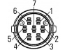 HELLA 2VP 340 950-011 kombinuotas galinis žibintas
1133920, 088 8910, L-SA0080-006