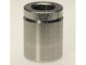 TRISCAN 8170 234021 stūmoklis, stabdžių apkaba
