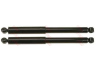 amortizatorius