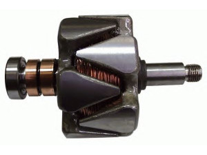 DELCO REMY 19025864 rotorius, kintamosios srovės generatorius