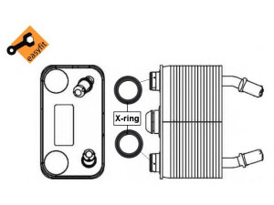 NRF 31076 alyvos aušintuvas, variklio alyva 
 Aušinimo sistema -> Radiatorius/alyvos aušintuvas -> Alyvos aušintuvas
1439112, 17101439112, 17207500754