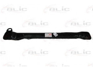 BLIC 6502-03-2092230P priekinis variklio gaubtas
132126, 1318067080, 1321 26
