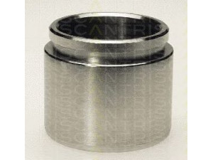TRISCAN 8170 235722 stūmoklis, stabdžių apkaba