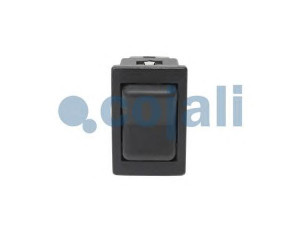 COJALI 2260165 amortizatorius
290955