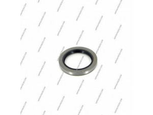 NPS T471A01B rato guolio komplektas
9031138037
