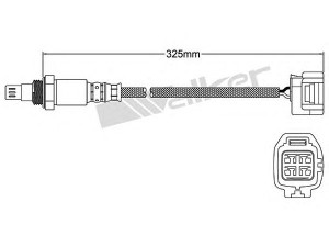 WALKER PRODUCTS 250-54032 lambda jutiklis 
 Variklis -> Variklio elektra
C2C 22681, C2P 8810