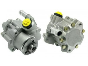 BUGIAD BSP22639 hidraulinis siurblys, vairo sistema 
 Vairavimas -> Vairo pavara/siurblys
6N0 145 157