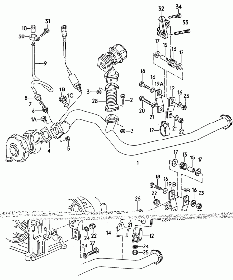 58049050