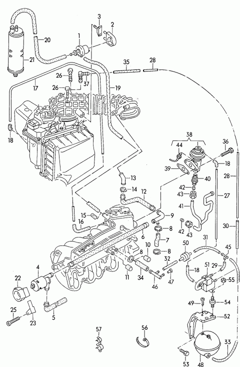 88015600